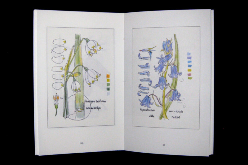 Trudy Beekman, Stinzenplanten - Afbeelding 3