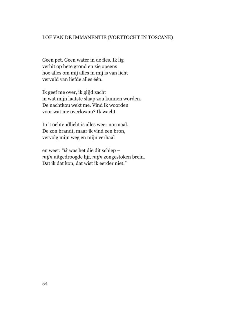 Rik Herngreen, Trilobieten - Afbeelding 5