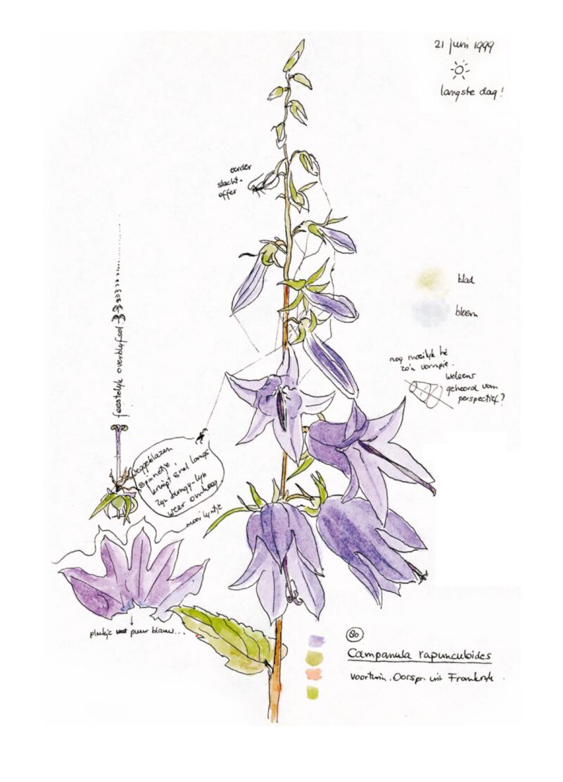 Trudy Beekman, de andere Flora - Afbeelding 6
