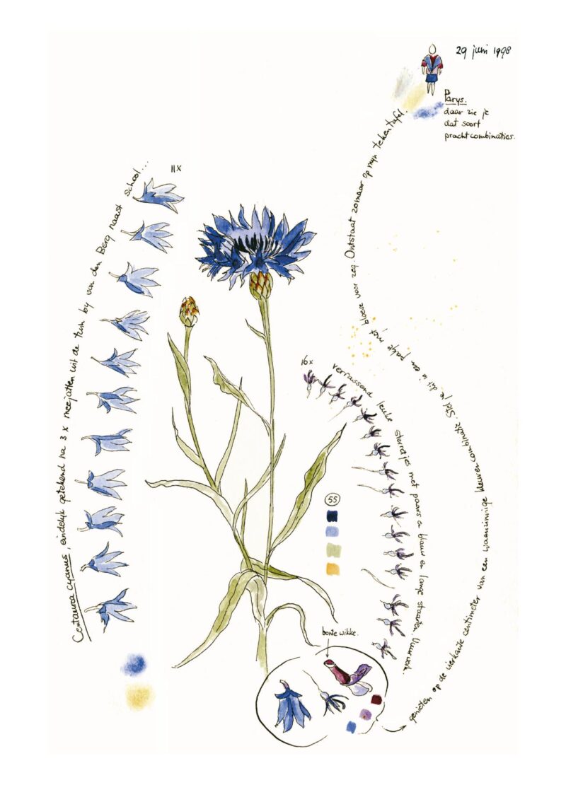 Trudy Beekman, de andere Flora - Afbeelding 2